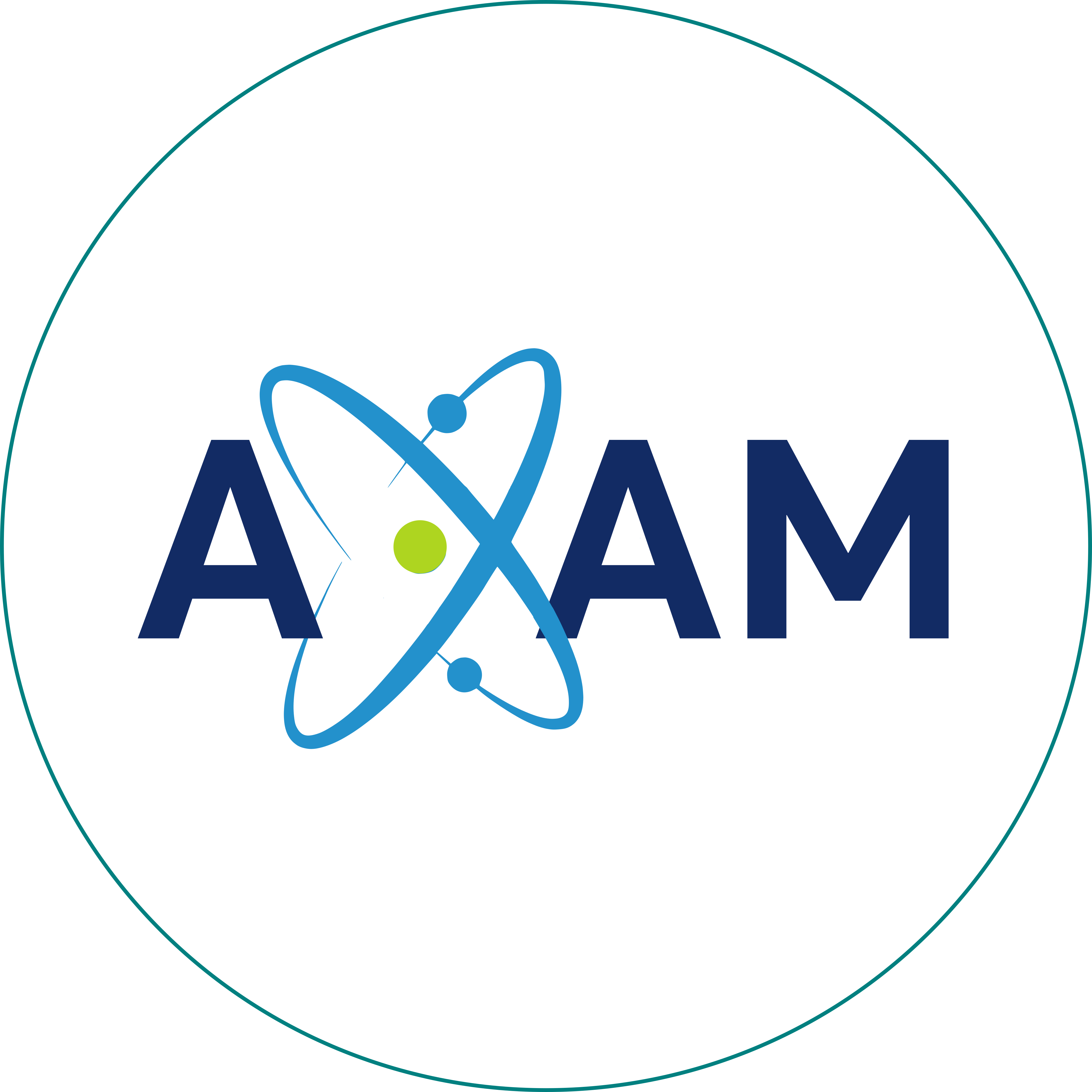 Axam logo